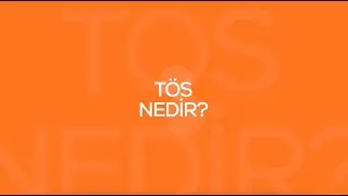 Fintora | T&Ouml;S Nedir?