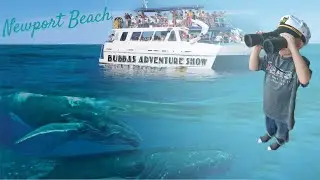 Newport Beach Kids Travel Experience | Bubbas Adventure Show