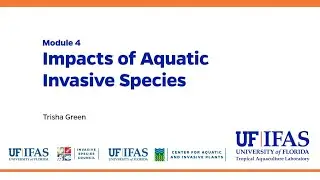 Aquatic Invasive Species Module 4:  Impacts of Aquatic Invasive Species