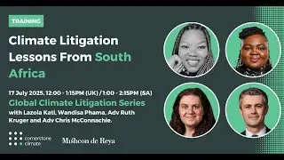 Climate Litigation: Lessons from South Africa