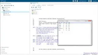 Base SAS: How to Import Raw Data File Into SAS (List Input)
