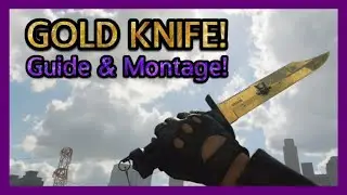 GOLDEN Knife Camo GUIDE! | + Minitage! | Rout To DARK MATTER! (Cold War)