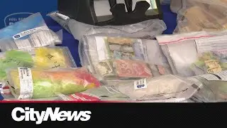 Community tips kick off Peel police investigation, leading to $1M drug seizure