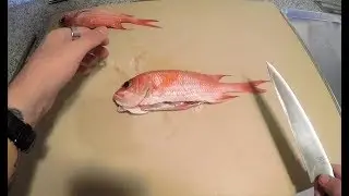 Whole Fish Breakdown
