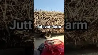 jutt zari farm #newsong #punjabisong #song #punjabi #music #automobile #jatt #farmer #farming #brar