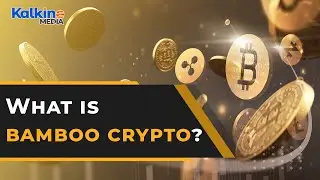 What is Bamboo app? How does it work?