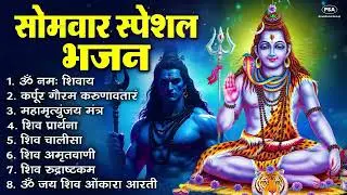 सोमवार भक्ति भजन   कर्पूर गौरम करुणावतारं, ॐ नमः शिवाय, शिव प्रार्थना, शिव अमृतवाणी, चालीसा व आरती 2