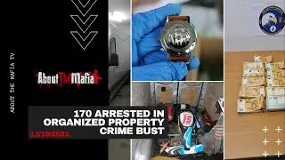 Over 170 Arrested in Organized Property Crime Bust | 11/15/2021 | About The Mafia News