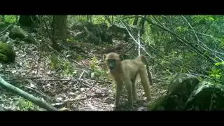 Rescue of Cecil Kop Nature Reserve