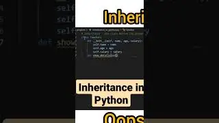 how to use Inheritance concept in python