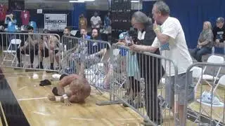 Ausitn Theory,, The Storm,, Billy Gunn at BluePrint Pro in Deerfield Beach March 2019
