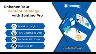SentinelPro | The Google Analytics Alternative You've Been Looking For