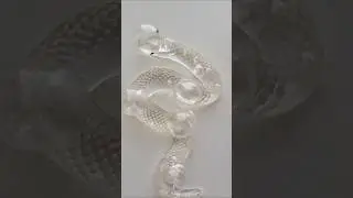 SQUISHY TRANSPARENT SNAKE ASMR #shorts