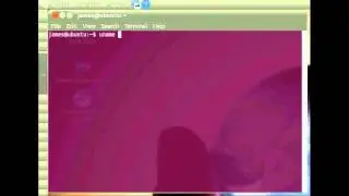 Check Ubuntu operating system type
