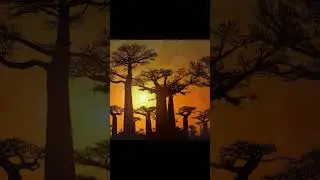 Баобаб - дерево без корней #факты #top #facts #reels #наука #факт #trending