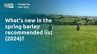 What&rsquo;s new in the spring barley recommended list (2024)?