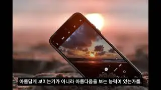 오늘 사랑한 것 / 림태주 에세이
