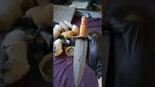 5mm Arkansas Toothpick Dagger Knife #knifemaking #guineapig #bowieknife #cute