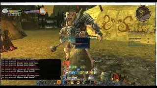 LOTRO Legendary server Yellow Beorning solo Ronkurz Elite Master and adds