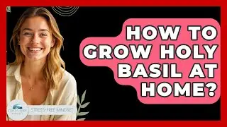 How To Grow Holy Basil At Home? - Stress Free Mindset