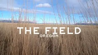 The Fields in La Grande, Oregon