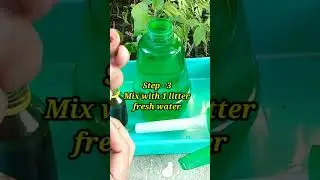 How to use neem oil for plants