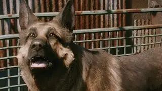 Meeting Dogmeat (alternate version) | Fallout 4