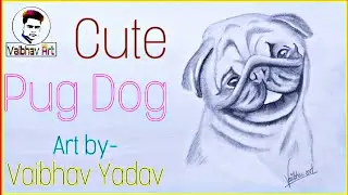 How to draw pug dog sketch step by step// art by Vaibhav Yadav
