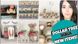 NEW ITEMS! DOLLAR TREE HAUL OCTOBER 2017