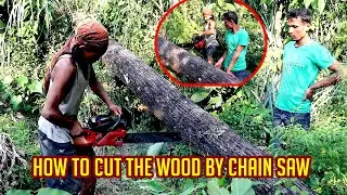 Wood Cutting with chain saw in Nepal | Tree cutting sound with sound | Automatics cutting tree