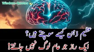 کیوں ہوشیار لوگ ہمیشہ ذہین دماغوں کی نفسیات کو غلط سمجھتے ہیں | Wisdom Quotes