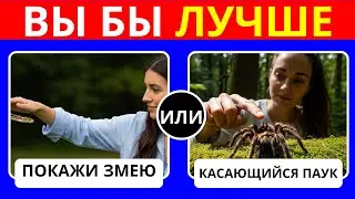 «Что бы вы предпочли: самые сложные выборы в истории?» — Только невозможные решения