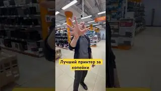 Лучший принтер за копейки #учёба #работа #hp #pantum #принтер #обзор #днс #2024 #копейки #купить