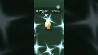 found shiny bug pokemon || Shiny Weedle #anime #1k #shorts