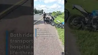 Alligator in road causes motorcyclists to crash on Florida highway