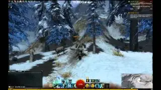 Sinister Swarm [GW2] Spider Nest Cavern Skill Point