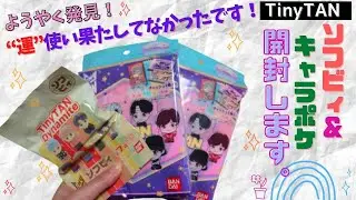 【TinyTAN】ソフビィとキャラポケようやくGET！✨開封します！最近、推し運付いてます😲