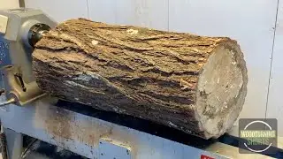 Woodturning Shorts - Huge Log To Vase