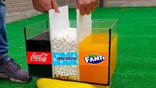 Coca Cola and Mentos