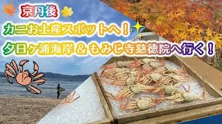 京丹後・カニお土産スポットへ！湯けむり朝市＊かに一番＊夕日ヶ浦海岸＊もみじ寺慈徳院