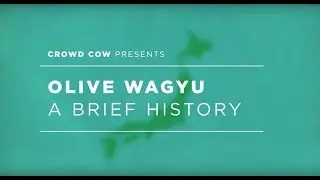 Olive Wagyu - A Brief History