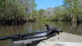 Dead River Landing