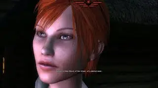 The Witcher 3 The Outskirts of Vizima (five chapels of the eternal fire)