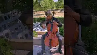 POV: You hire a cellist for your wedding!