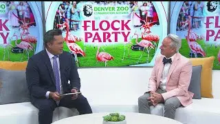 Denver Zoo Conservation Alliance hosts Flock Party