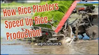 How Rice Planter Machine Are Changing Farmer Forever!