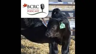 Episode 101: Top Tips for a Smooth Calving Season