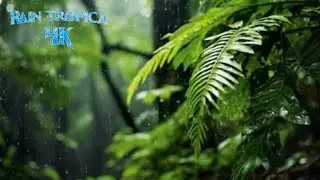 🌿 Rain on Tropical Leaves & Soft Piano 🌧️ | Relaxing Forest Ambience for Deep Sleep & Stress Relief