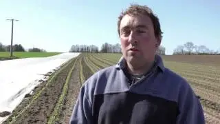 Comparaison sur les techniques culturales en agriculture bio et conventionelle.
