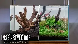 Aquascaping Tutorial: 60cm Insel-Style Aquarium (Komplette Einrichtung)